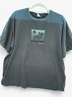 Vintage 90s Oversized Tee Anvil Charcoal Gray Alaska Moose Skate